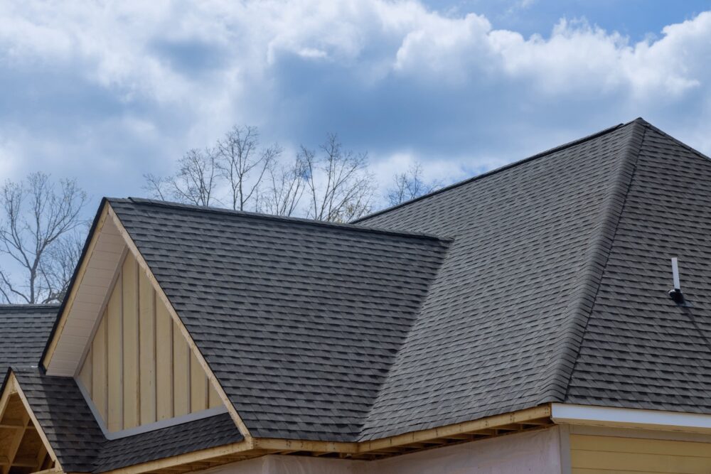 Blue Fox Roofing project photo