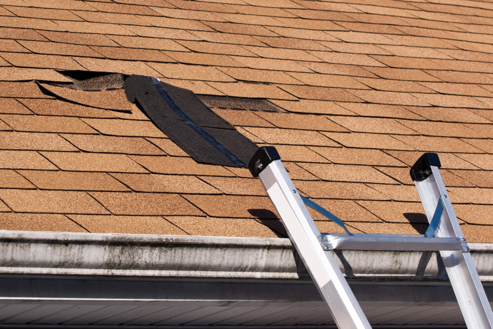 Blue Fox Roofing project photo